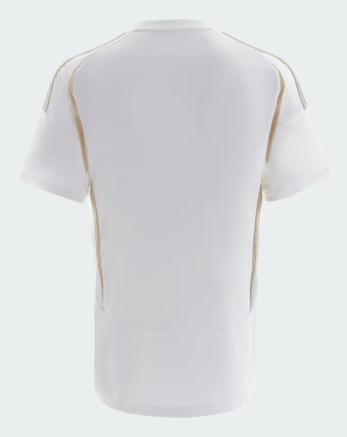 Al Nassr 2024-2025 third kit