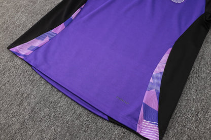 Germany 24-25 purple Tracksuit